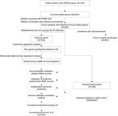 Identification of an Immune-Related Signature Predicting Survival Risk and Immune Microenvironment in Gastric Cancer